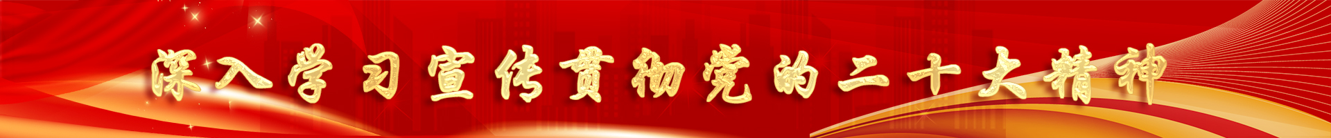 喜迎二十大，奮進(jìn)新征程 